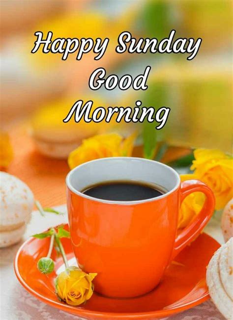 Shayari good morning pics , beautiful good morning wallpaper pictures for whatsapp , new latest free gd mrng pics for facebook friend. Pin by Wanna Anantakul on Tea & Coffee | Happy morning ...