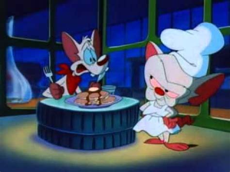 Pinky and the brain are two genetically engineered lab mice living at acme labs. Pinky y Cerebro - YouTube