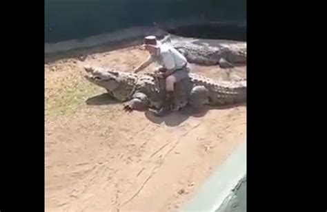 crocodile turns on handler at kwazulu natal reptile park