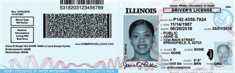 Hole Punch In Drivers License Illinois Mediagrouplasopa