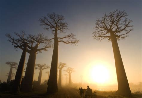 Madagascar Landscape Wallpapers Top Free Madagascar Landscape