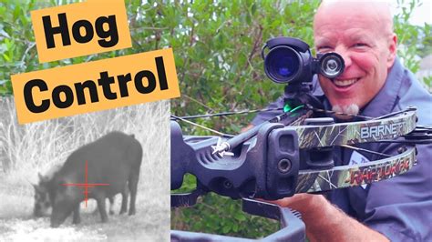 Hog Control With Night Vision On A Crossbow Hog Hunting Video Youtube