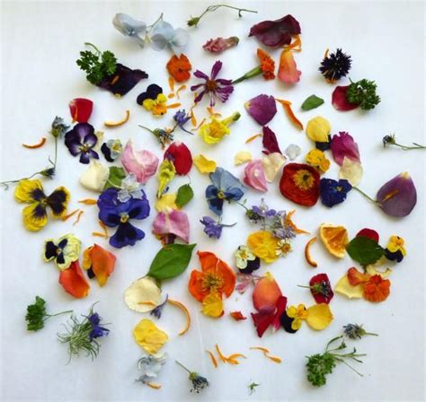 · roses that last 12 months Flower Confetti, Dried Flowers, Dried Rose Petals, Wedding ...
