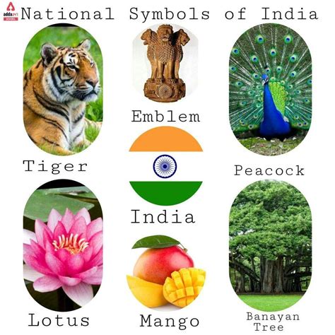 National Symbols Of India With Names List राष्‍ट्रीय चिन्ह