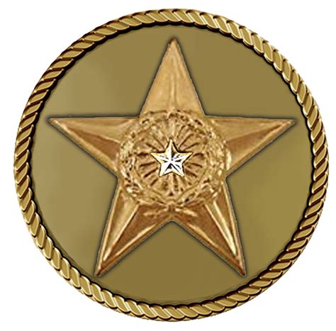 Silver Star Plain Medallion