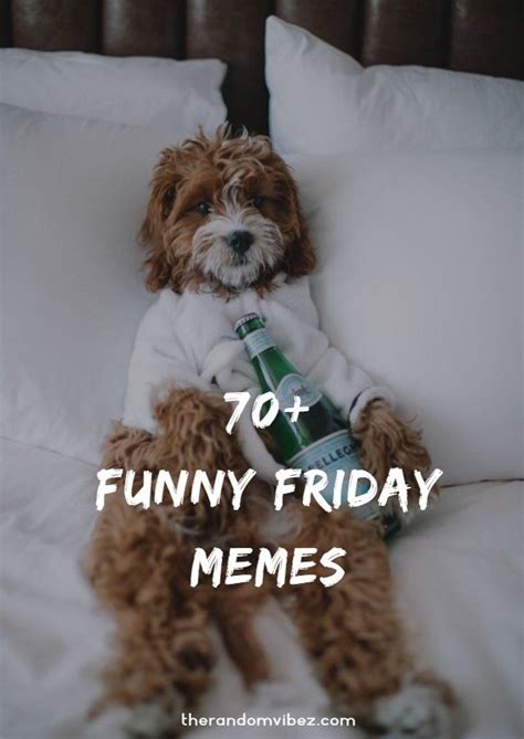It will be published if it complies with the content rules and our moderators approve it. 70 Funniest Friday Memes and Best TGIF Meme for the Weekend | Funny friday memes, Friday humor ...
