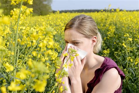 Allergie Au Pollen Les Symptômes Oculaires
