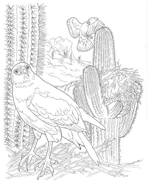 Desert Coloring Page Coloring Home