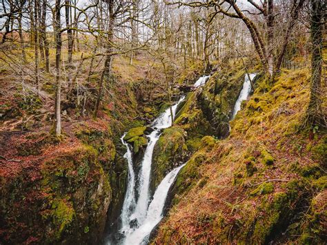Stock Ghyll Force Waterfall Guide An Easy Walk From Ambleside Lake