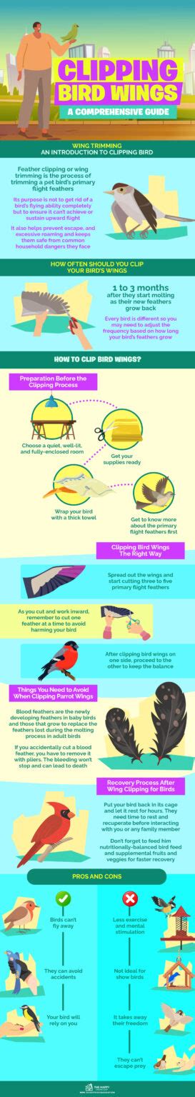 Clipping Bird Wings A Comprehensive Guide