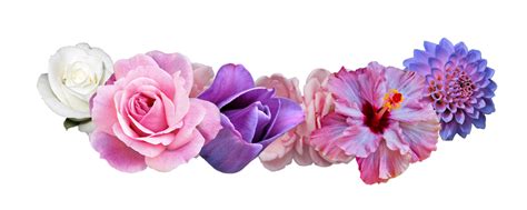 Flower headband png, Flower headband png Transparent FREE for download gambar png