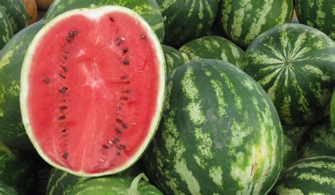 Seed Pack Sugar Baby Watermelon 20 Seeds Heirloom All Natural