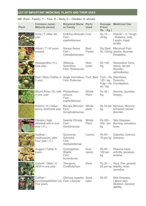 Herbs Table Chart Pdf Medicinal Plants Medicinal Herbs Herbal Plants