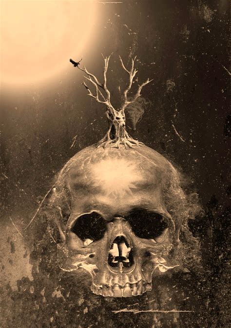 Skull Surreal Photomanipulation Mohamed Sayed Art
