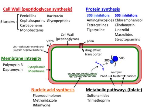 More than 6.8 million individuals have received that johnson & johnson vaccine in the us so far, making these blood clots an extremely rare event. antibiotic_pharmacology  Pharmwiki