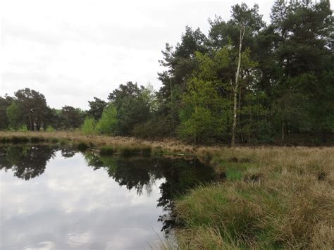 Beheersmaatregelen in het vennengebied eendenmeer. Nieuw Bergen - NP Maasduinen Eendenmeer | Landschapsfoto's ...