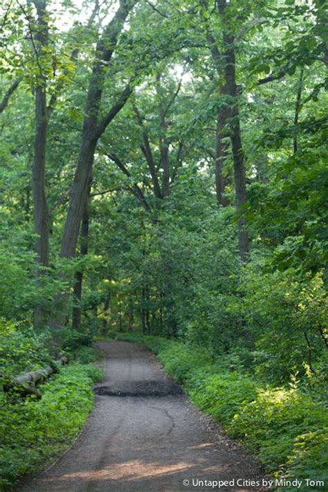 The Hidden Emerald Gem Forest Park