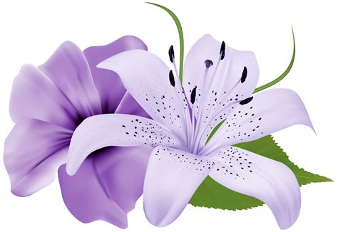 purple clipart flowers 20 free Cliparts | Download images on Clipground png image