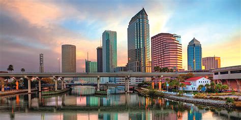 Free Download Tampahillsborough County 650x325 For Your Desktop