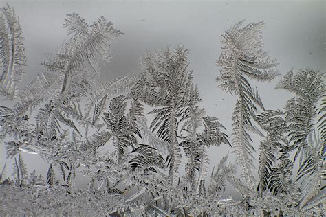 Ice Crystals Forest Back In 2010 Winter Arrived Earlier Wh Flickr