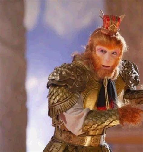 Sun wukong or monkey king, the main character in the classical chinese epic novel journey to the west. 5個版本孫悟空，周星馳版夠經典，網友：全認識就暴露了你的年齡 - 每日頭條