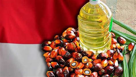Price in us dollars per metric ton. Local palm oil buyers boost imports from Indonesia | Free ...