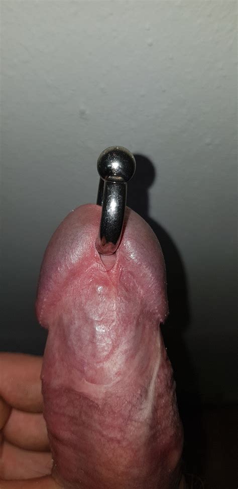 My Pierced Cock And Balls