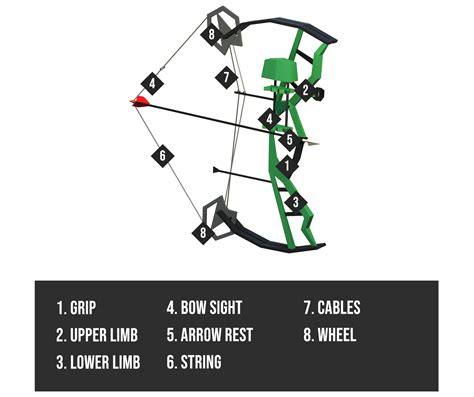 The 3 Types of Vertical Bows: Longbow - Recurve bow - Compound bow