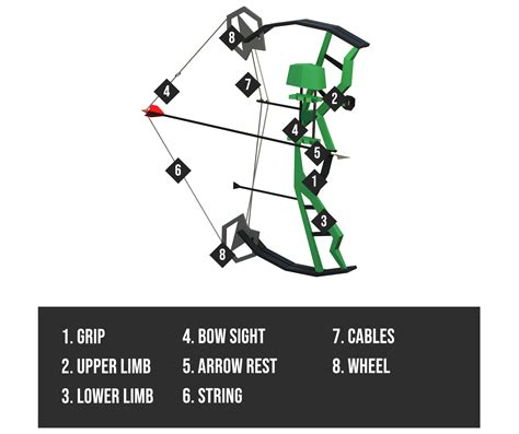 The 3 Types Of Vertical Bows Longbow Recurve Bow Compound Bow