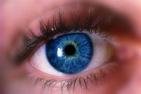 Pin By Navalishena Alina On Портрет Dark Blue Eyes Blue Eye Color Beautiful Eyes Color