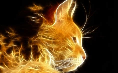Kindle Fire Cat Wallpapers Top Free Kindle Fire Cat Backgrounds
