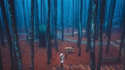 Banyaknya tempat wisata di bogor membuat daerah ini selalu ramai dikunjungi saat hari libur, khususnya di kalangan warga jabodetabek. Wisata di Jogja yang Punya Spot Foto Apik Banget Seperti Lagi Liburan di Luar Negeri ...