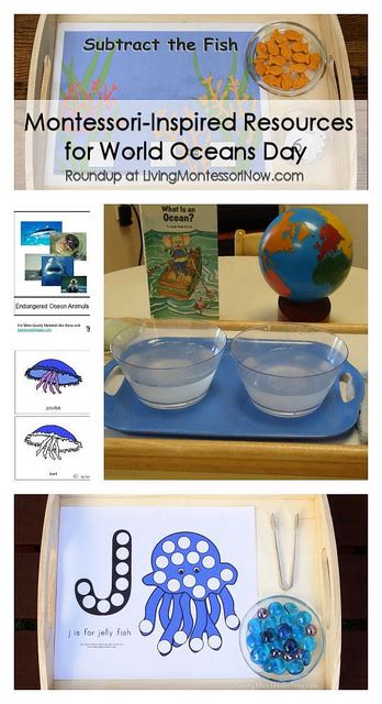 Montessori Inspired Resources For World Oceans Day In 2020 Oceans Of