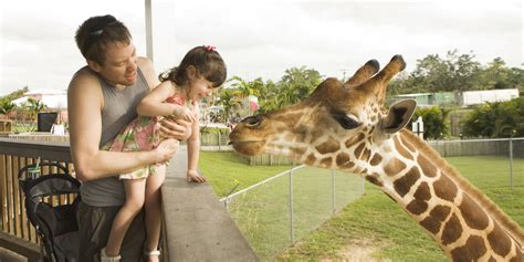 The good is a bounty hunter. Are Zoos Bad? Or Are Humans Just Weird? | HuffPost