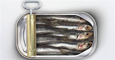 Fish are easily digested and can tempt a reluctant appetite to help prevent unwanted weight loss, or add variety to your pet's diet. Canned Sardine Brands Recommendations - Sardine Canned ...