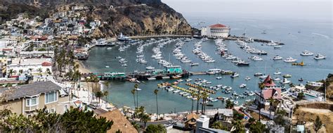 Catalina Island California Ports Of Call Disney Cruise Line