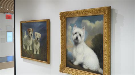 Alert The Pup-Arazzi Because There’s A Dog Museum In New York City