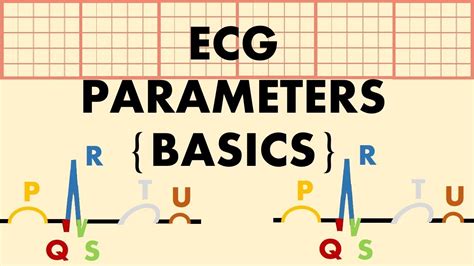 Ecg Explained Ecg Parameters The Basics Of Ecg Part 2 Youtube