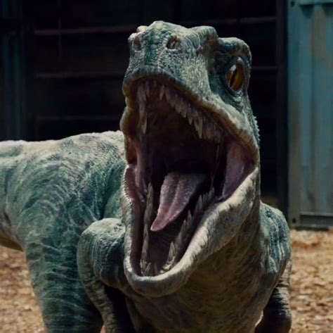 After years of studying genetics the scientists on the park geneticly engineer a new breed of dinosaur. Jurassic World Review: One of the Most Exciting Movies ...
