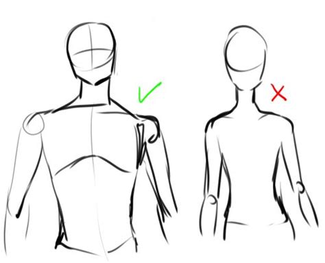Reference For Drawing A Male Upper Body Drawing Tips And Tricks