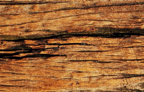 Dry Wood Texture Background Stock Image Image Of Decor Dark 47817207