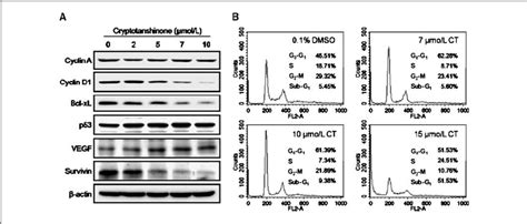 cryptotanshinone inhibits stat3 targeted proteins and induces download scientific diagram