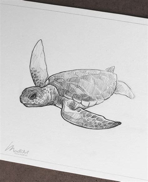 Radiating streaks of brown and black on an amber background. Cute #Hawksbill #Baby #Turtle #I #Ocean #Animal #I #Green #sea #turtle #I #Sketchbook #sketch # ...