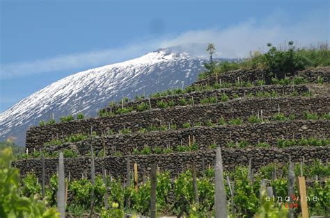 What is mount etna's current activity? How Mount Etna's volcanic solis are helping produce some of Italy's finest wines