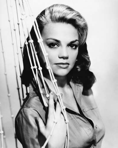 Dyan Cannon Posters And Photos 106460 Movie Store