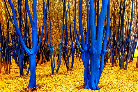 Blue Trees Houston Public Art Chattanooga
