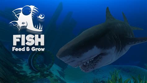 THE KING OF THE OCEAN Feed And Grow Fish 2 YouTube