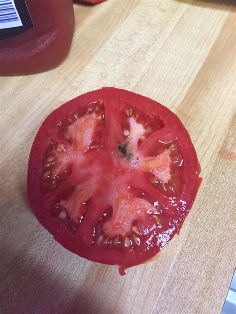 Whats This Black Spot On My Tomato Rgardening