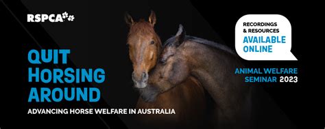 Rspca Knowledgebase Let Australias Most Trusted Animal Welfare