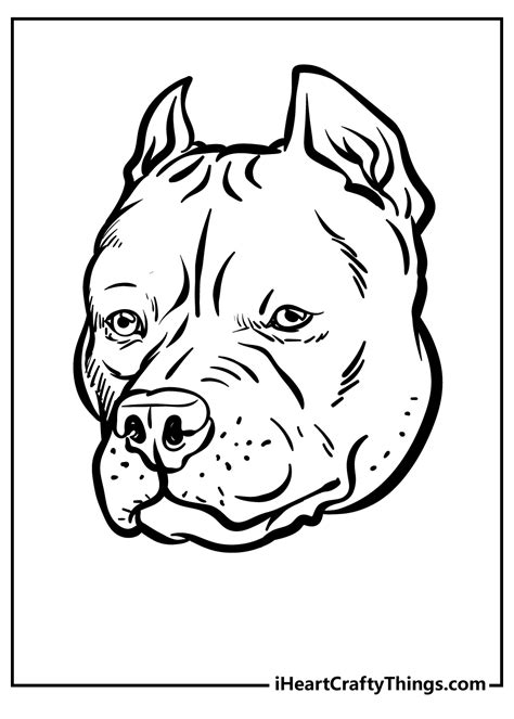 Printable Pitbull Coloring Page Updated 2022 Coloring Home
